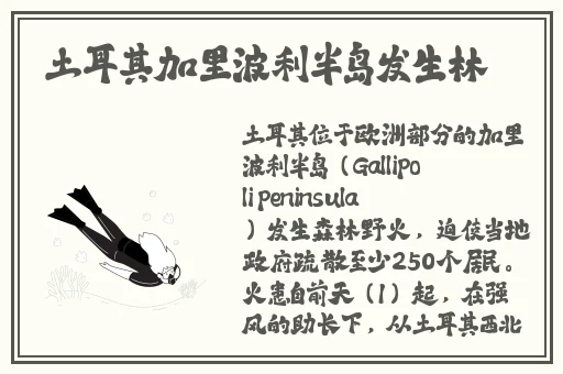 暖暖免费 高清 日本
